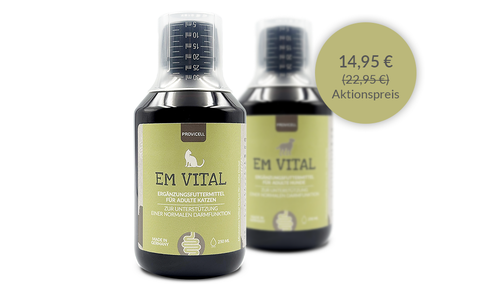 EM Vital