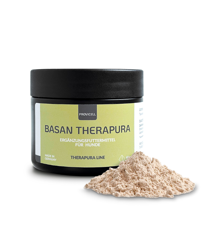 Basan Therapura