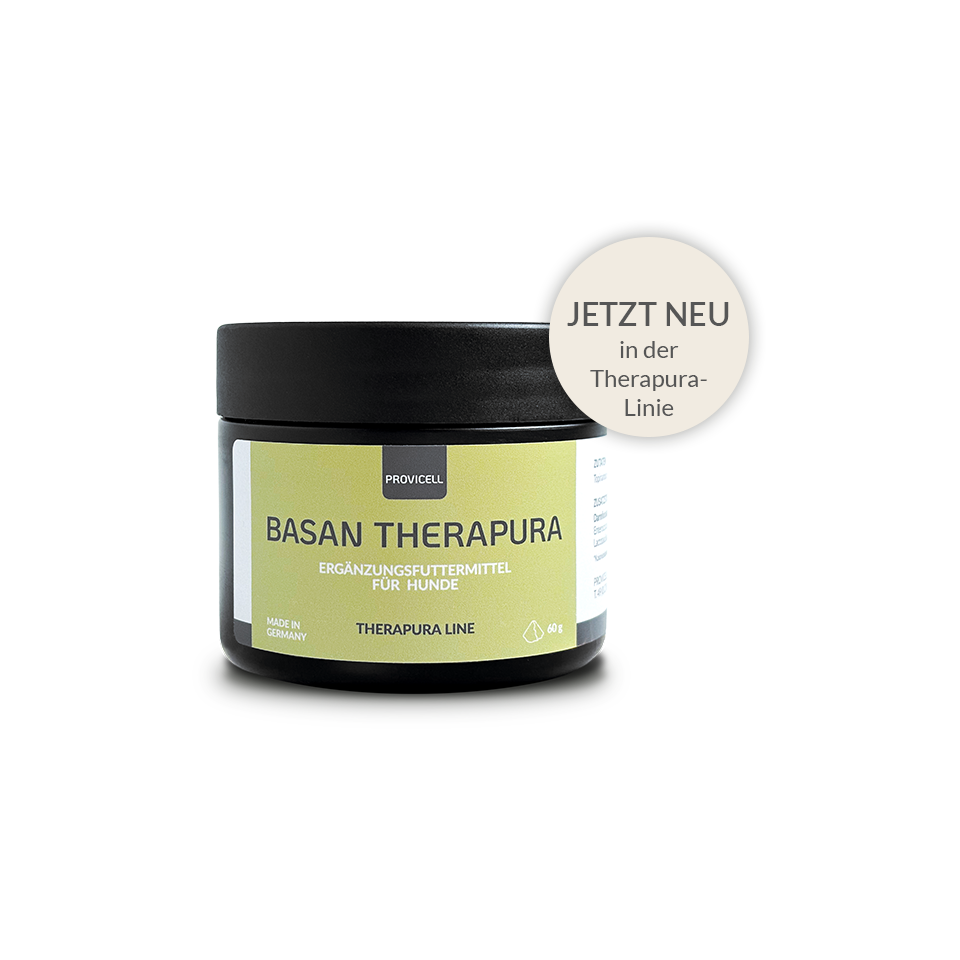 Basan Therapura