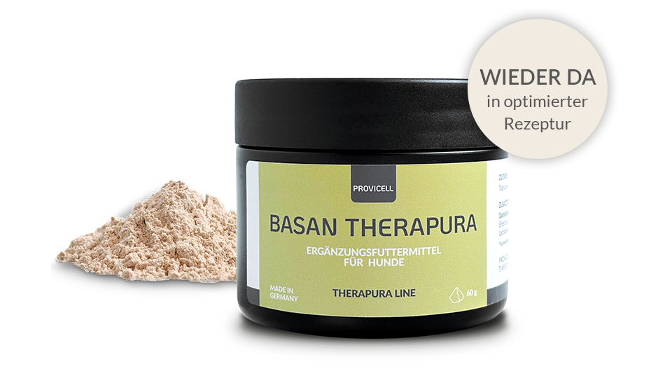 Basan Therapura