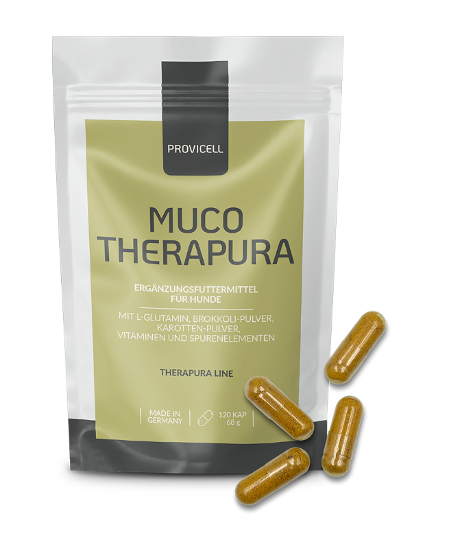 Muco Therapura Produktbild mit Kapseln