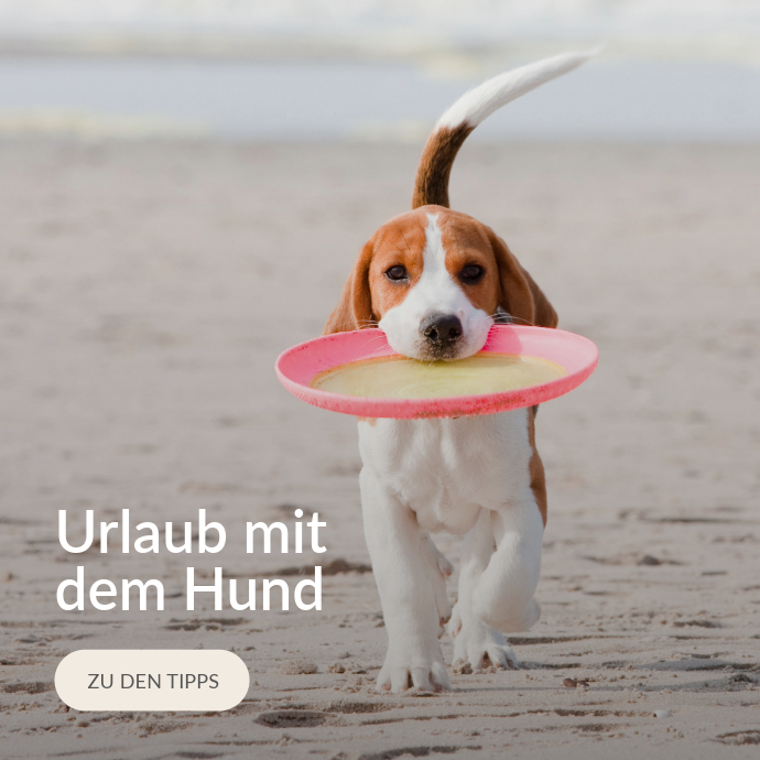 Blogkategorie Urlaub mit dem Hund