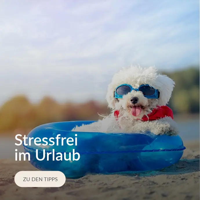 Blogkategorie Stressfrei im Urlaub