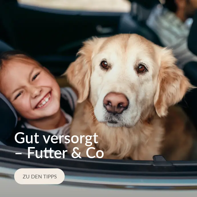 Blogkategorie Gut versorgt mit Futter & Co