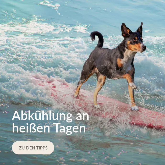 Blogkategorie Abkühlung an heißen Tagen