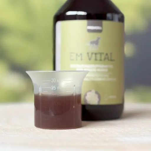Dosierung EM Vital