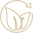 Entgiftung Icon Entgiftung Icon