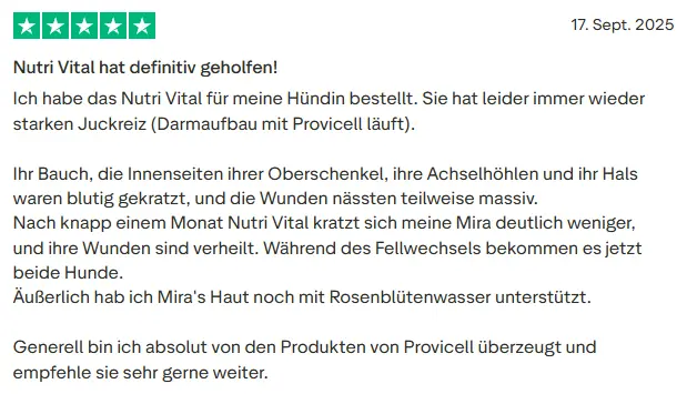 Bewertungen