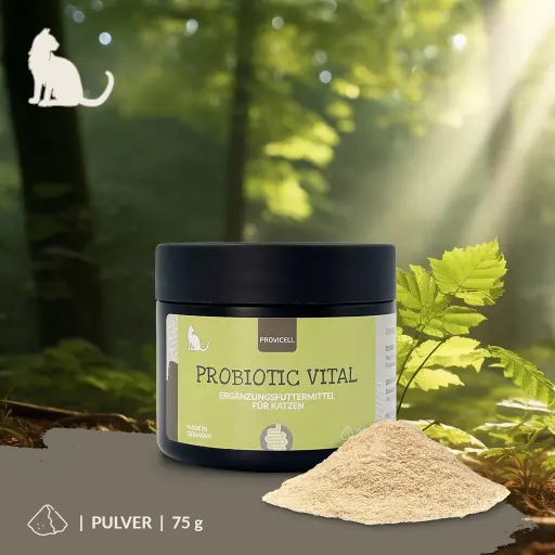 Probiotic Pulver Katze