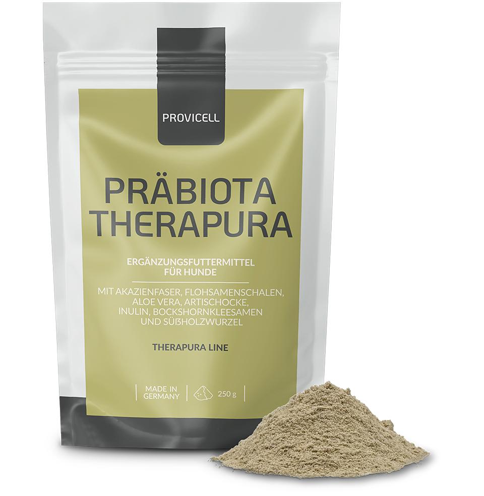 Präbioiota Therapura mit Pulver
