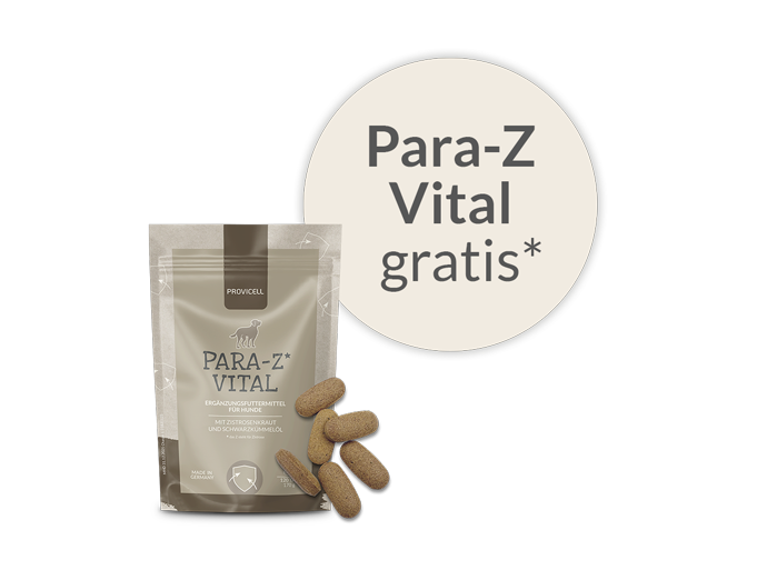 Para-Z Vital