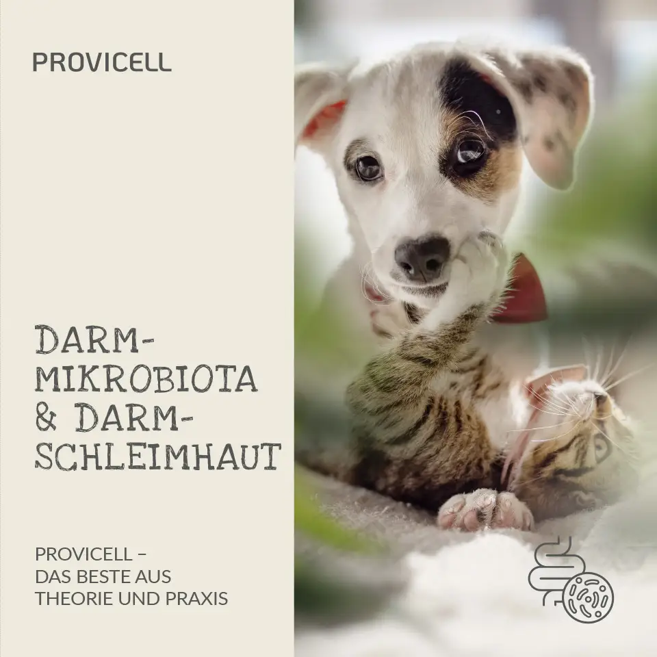 E-Book „Darmmikrobiota und Darmschleimhaut”