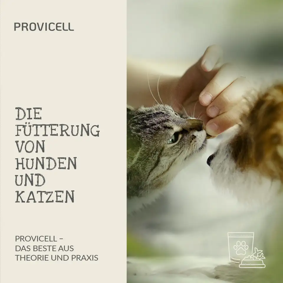 E-Book Die Fütterung von Hunden und Katzen