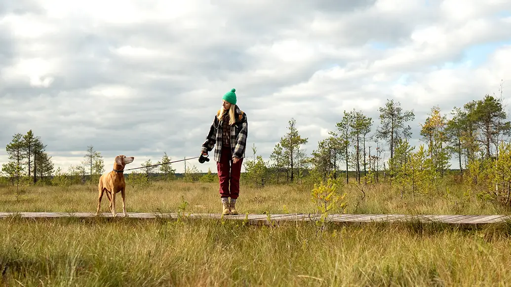 Darm & Gelenke – eine unterschätzte Verbindung