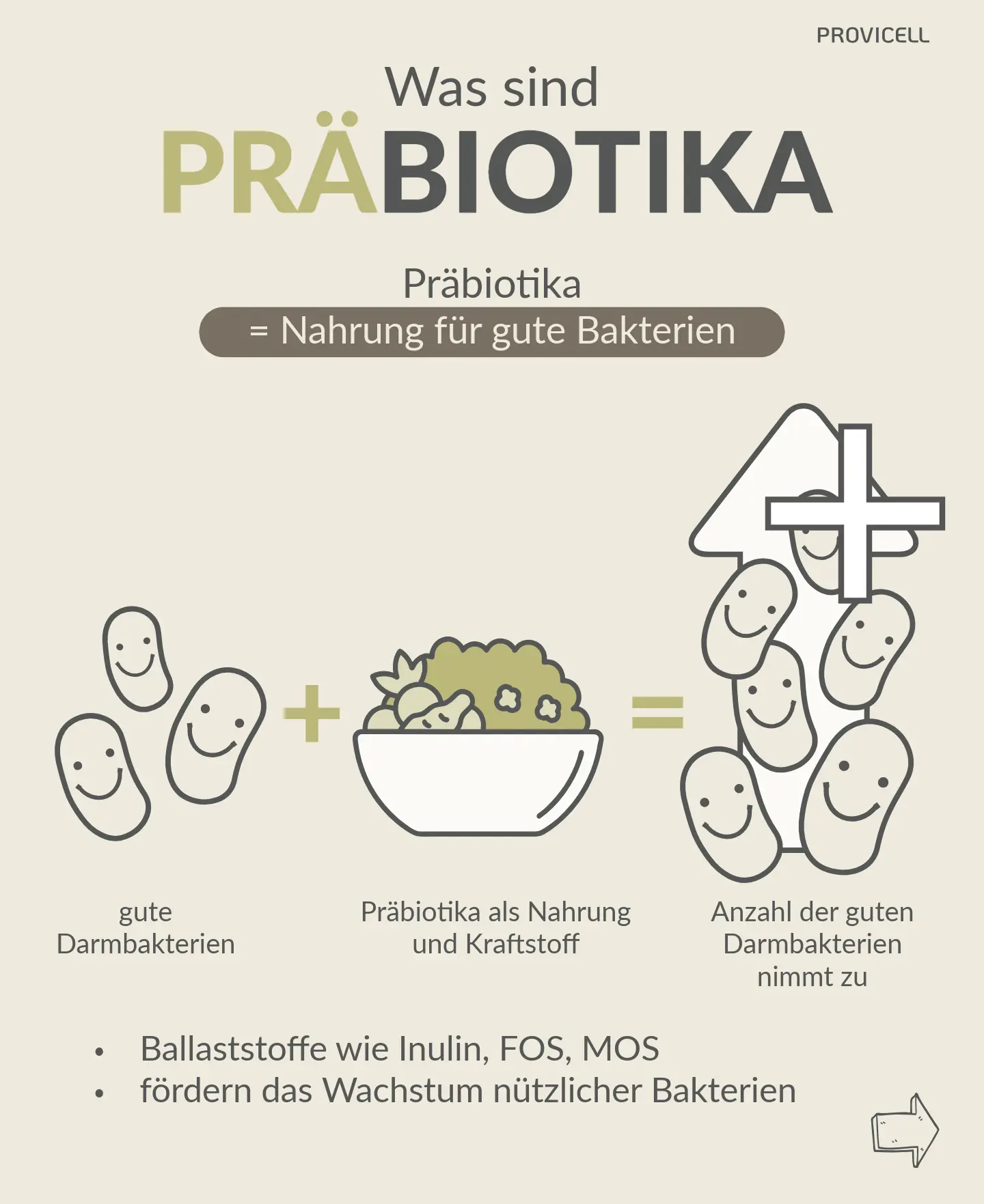 Präbiotika