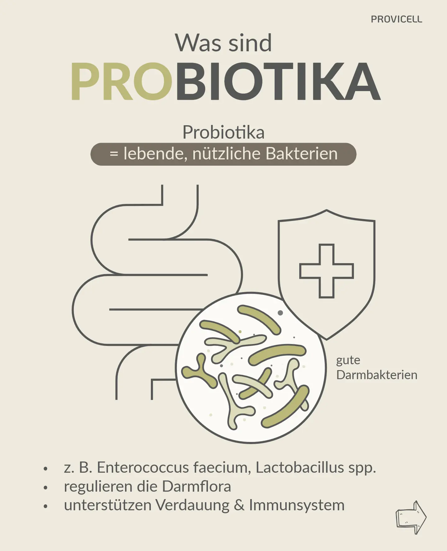 Probiotika