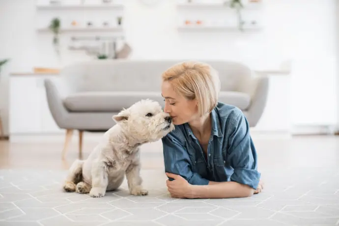 Verdauung von Mensch und Hund im Vergleich