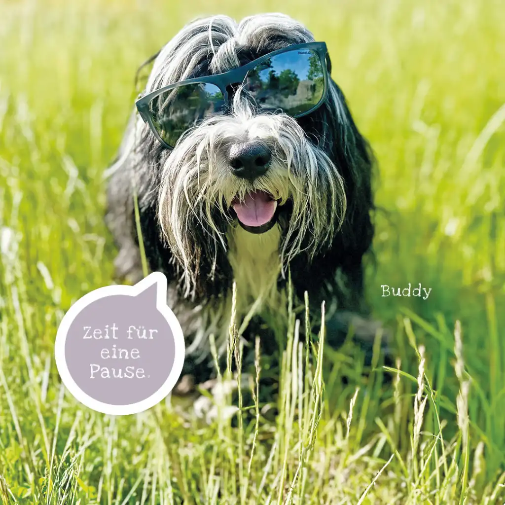 Kontakt Buddy Entspannung