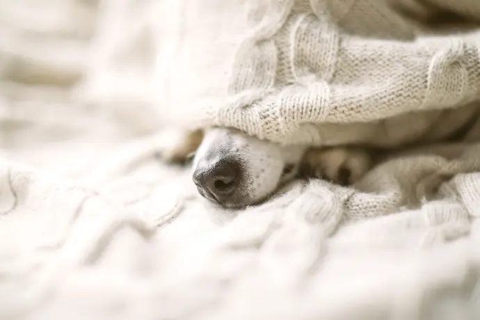 Anwendungsbereich Entspannung