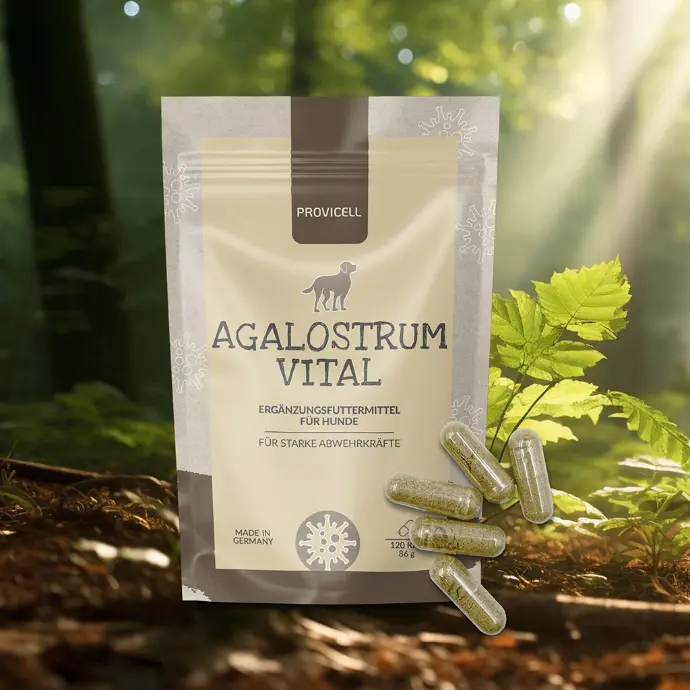 Agalostrum Vital