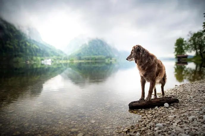 Anwendungsbereich Mineralstoffe