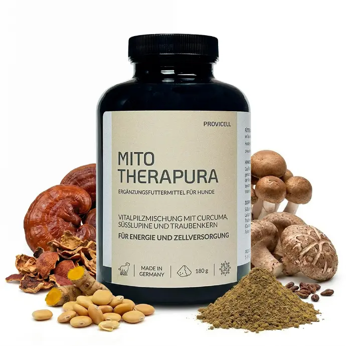 Mito Therapura mit Pilzen Mito Therapura mit Pilzen