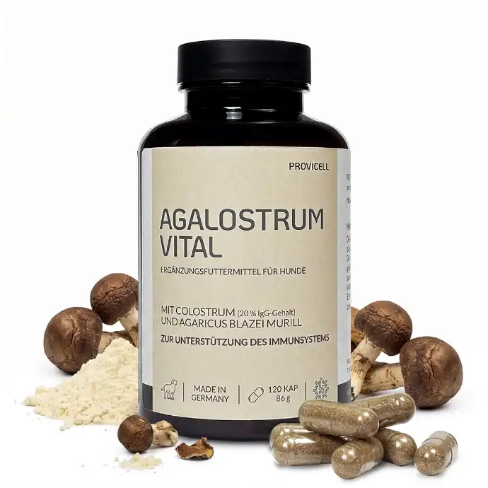 Agalostrum Vital mit Colostrum und Agaricus Blazei