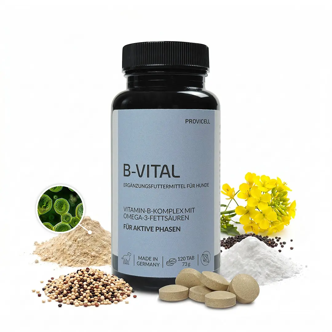 B-Vital mit Inhaltsstoffen B-Vital mit Inhaltsstoffen