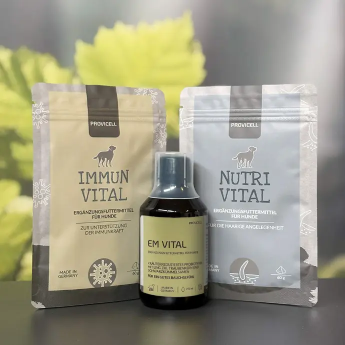 Vital-Paket