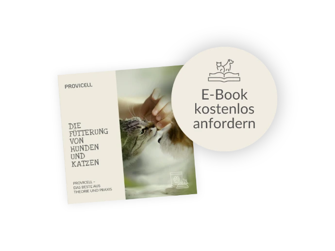 E-Books mit Expertenwissen zu Ernährung, Darmgesundheit & Vitalität