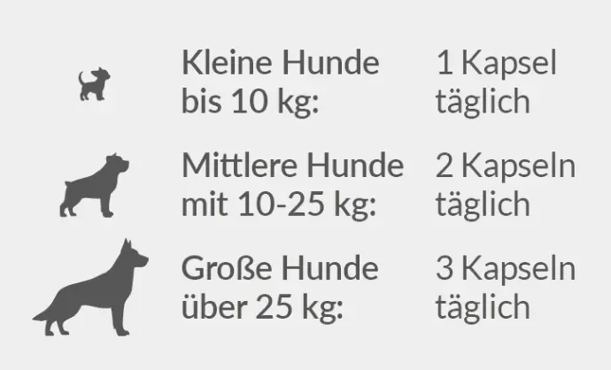 Dosierung Kapseln