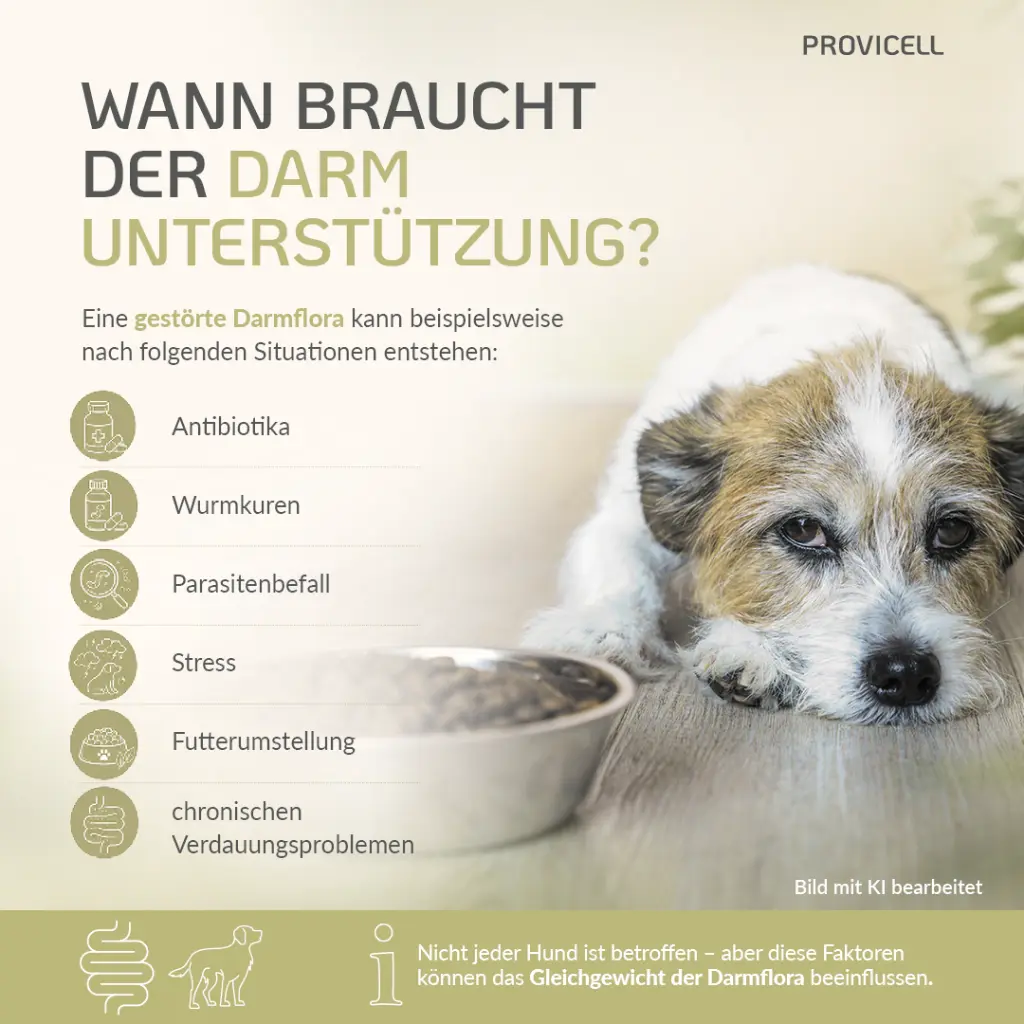 Wann braucht der Darm Unterstützung?