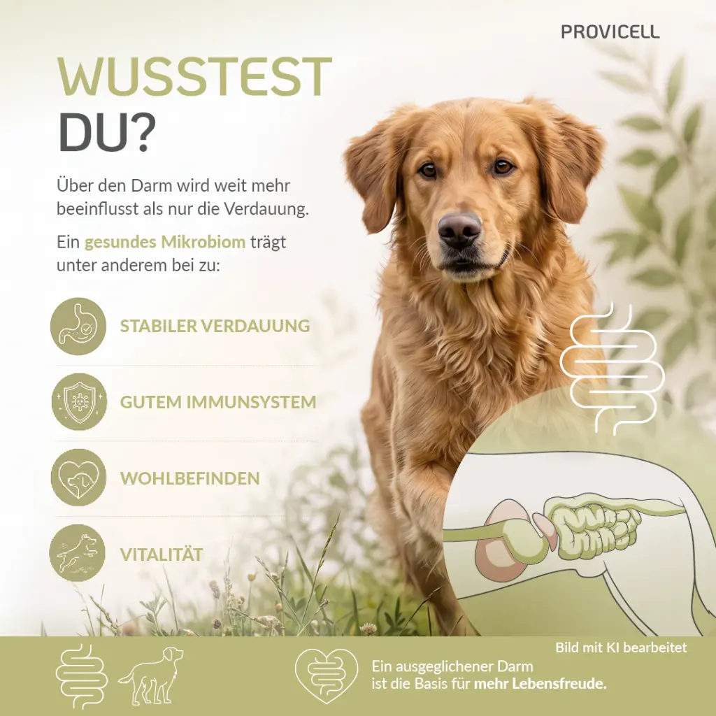 Wusstest du