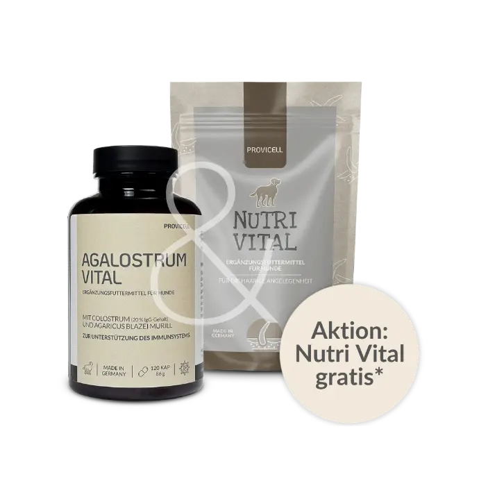 Aktionsangebot: Nutri Vital gratis