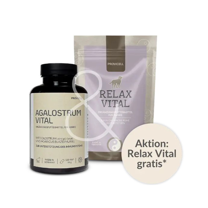 Aktionsangebot: Relax Vital gratis
