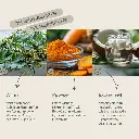 PROVICELL_Para-W-Vital_3.webp
