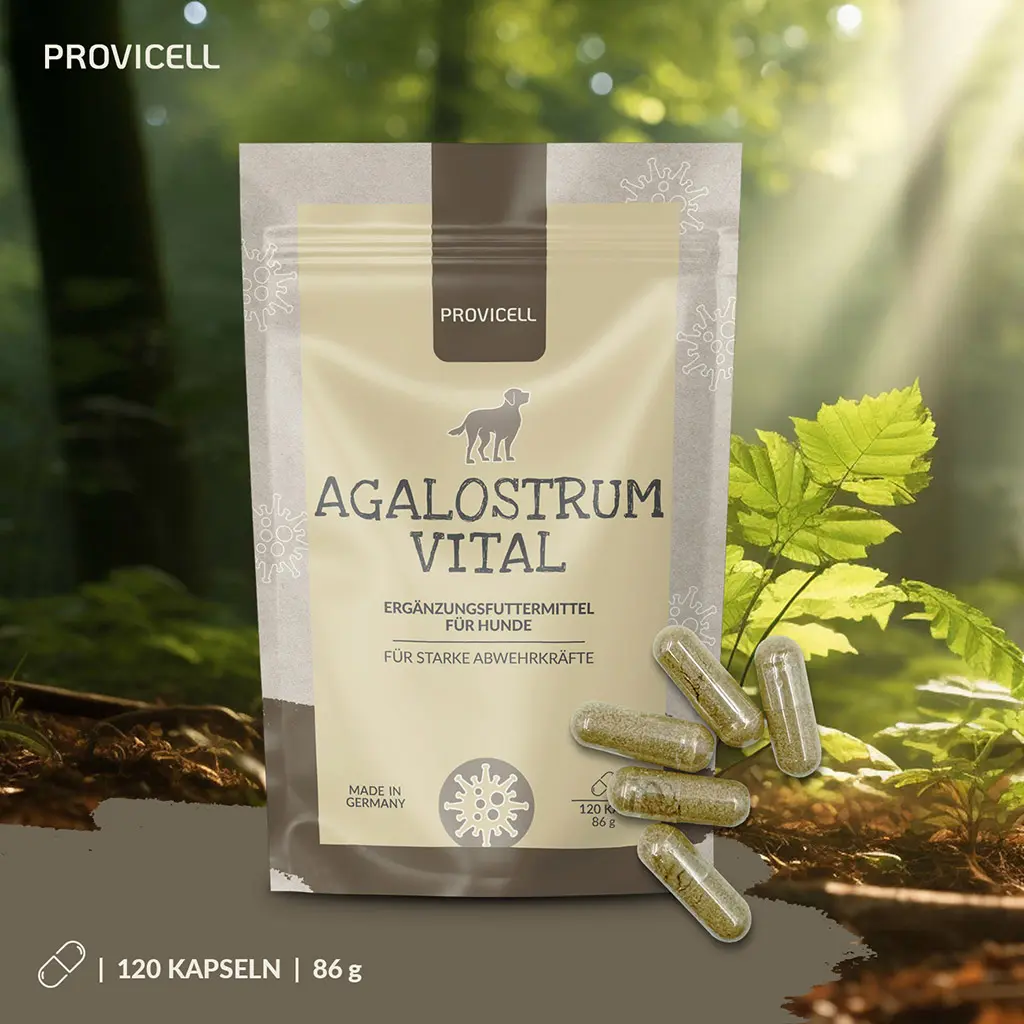 PROVICELL_Agalostrum-Vital_6.webp