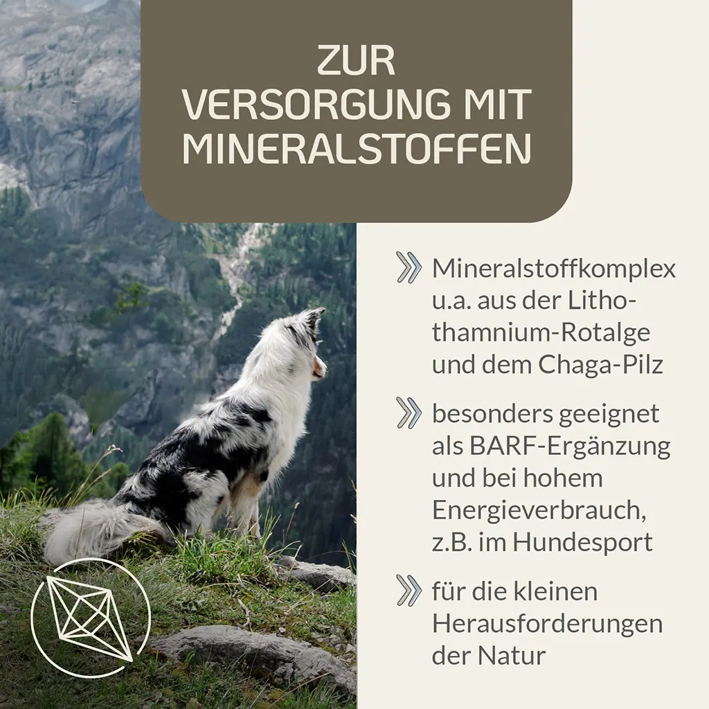 PROVICELL_Mineral-Vital_2.webp