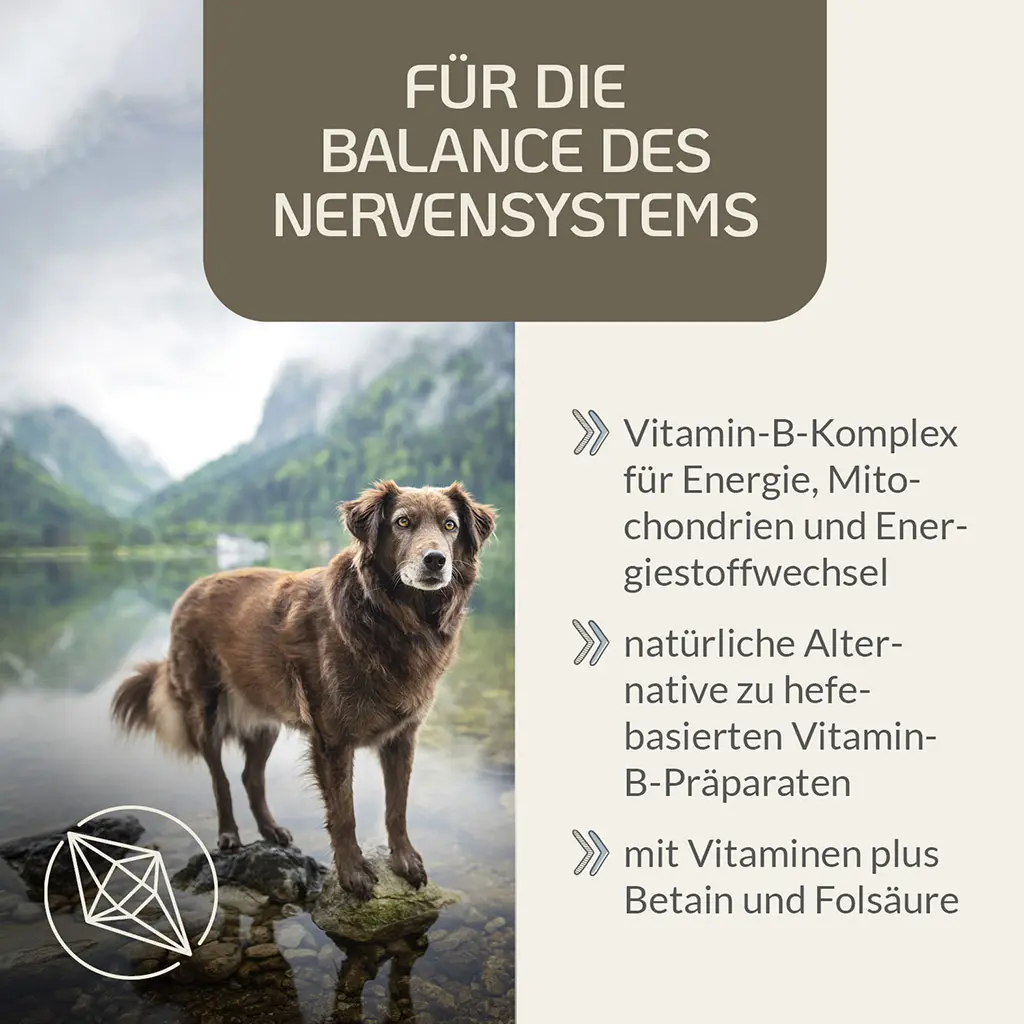 PROVICELL_B-Vital_2.webp