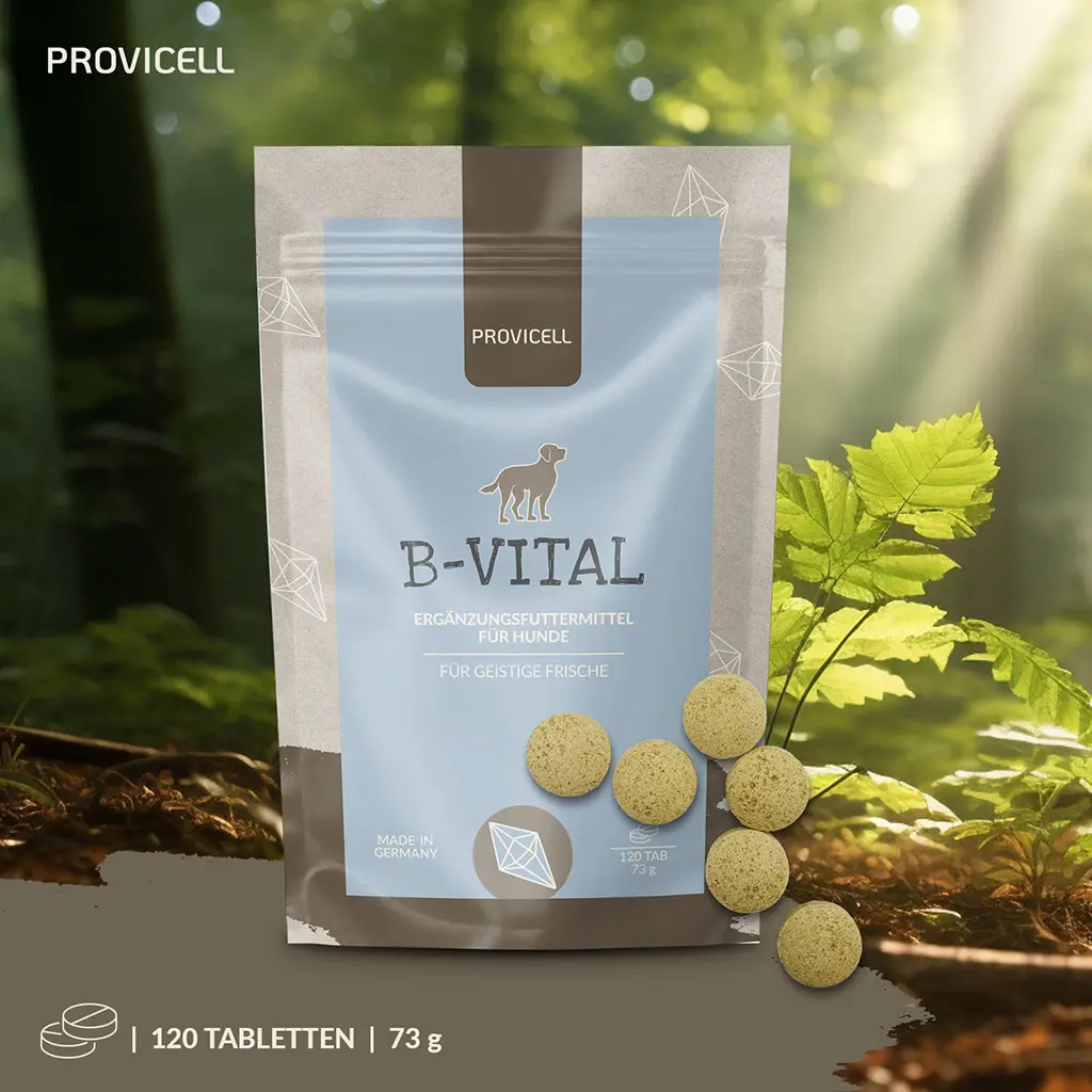 PROVICELL_B-Vital_6.webp