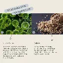 PROVICELL_B-Vital_3.webp