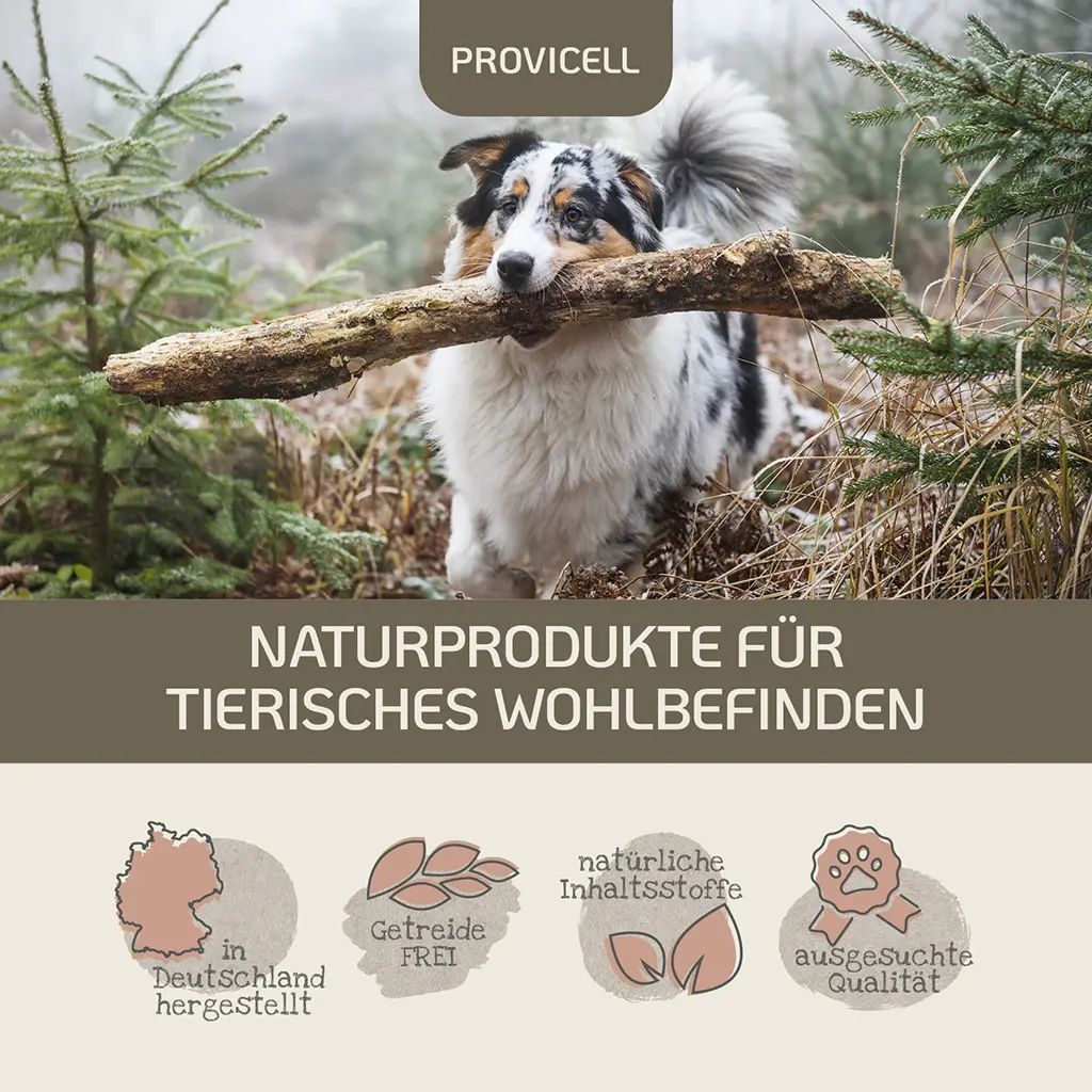 PROVICELL_Nephro-Vital_5.webp