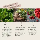 PROVICELL_Nephro-Vital_3.webp