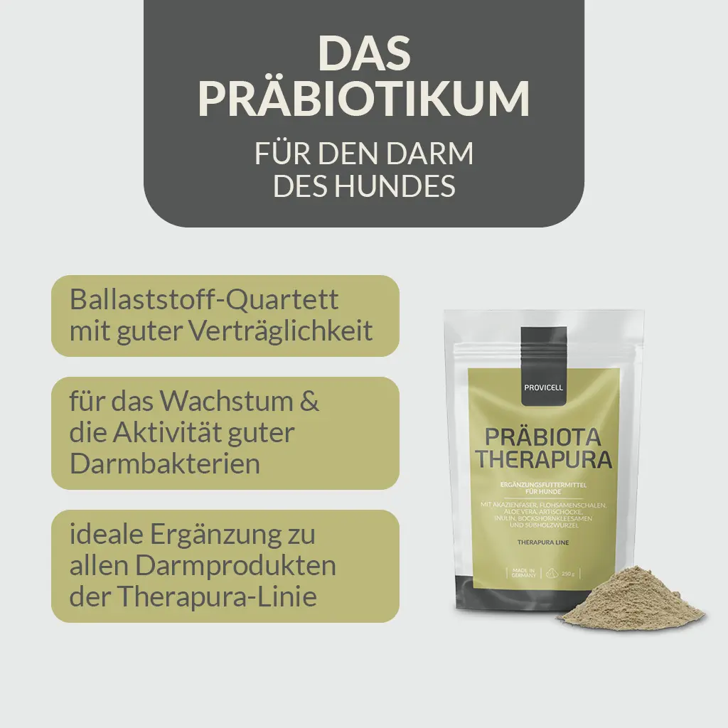 PROVICELL_Praebiota-Therapura_4.webp