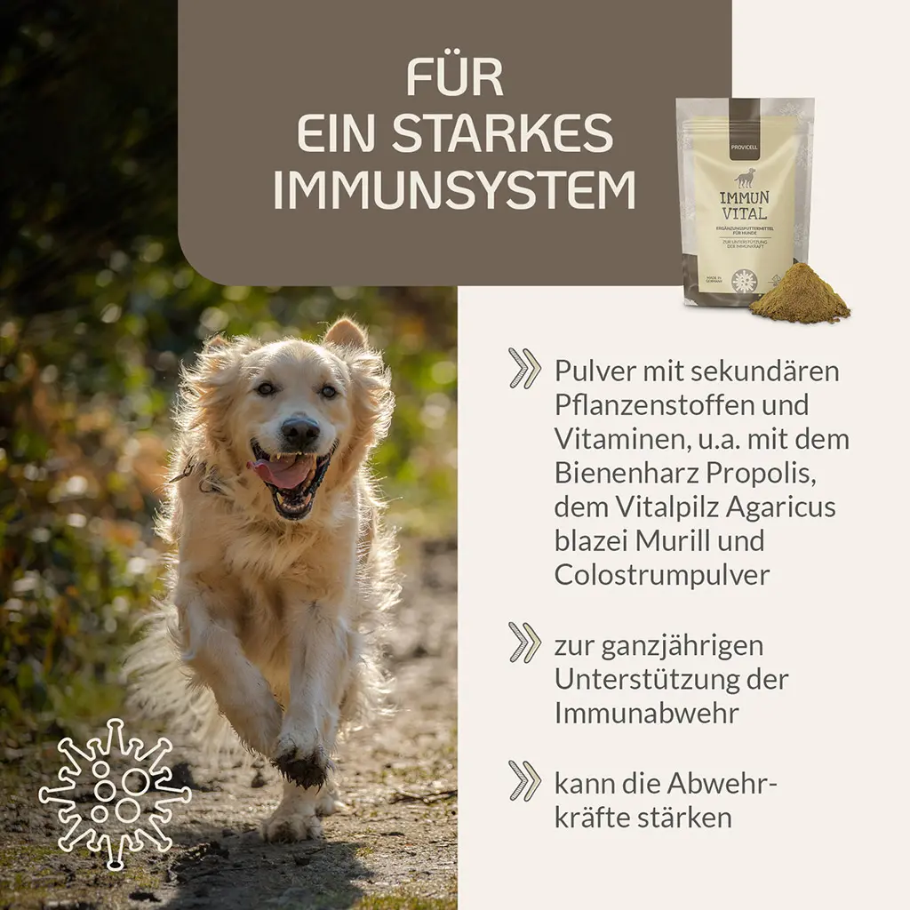 PROVICELL_Vital-Paket_1_3.webp