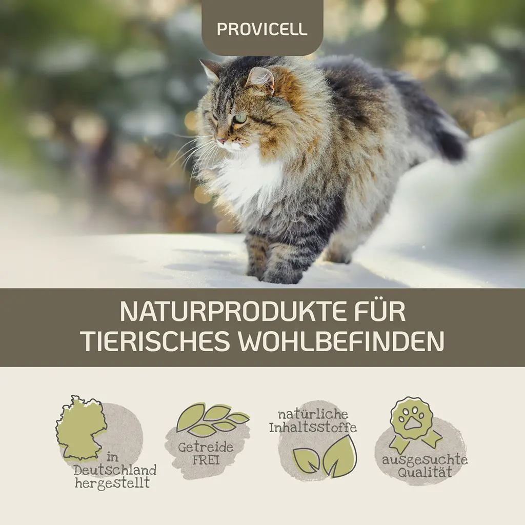 PROVICELL_EM-Vital_Katze_5.webp