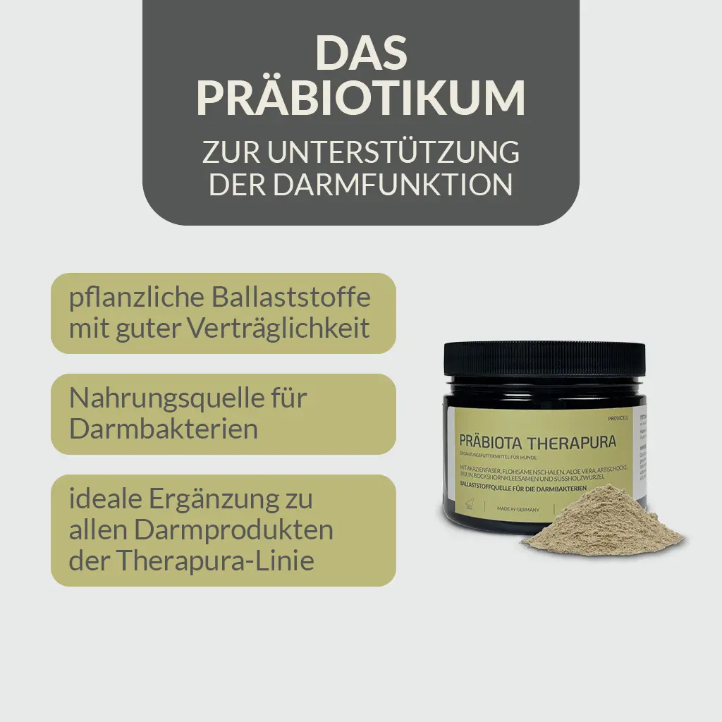 PROVICELL_Praebiota-Therapura_2.webp