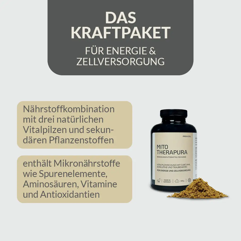 PROVICELL_Mito-Therapura_2.webp
