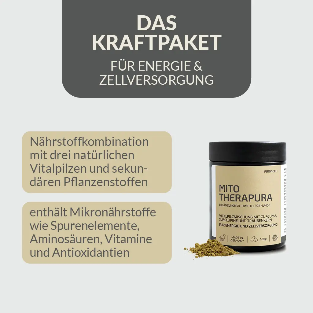 PROVICELL_Mito-Therapura_2.webp