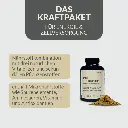 PROVICELL_Mito-Therapura_2.webp
